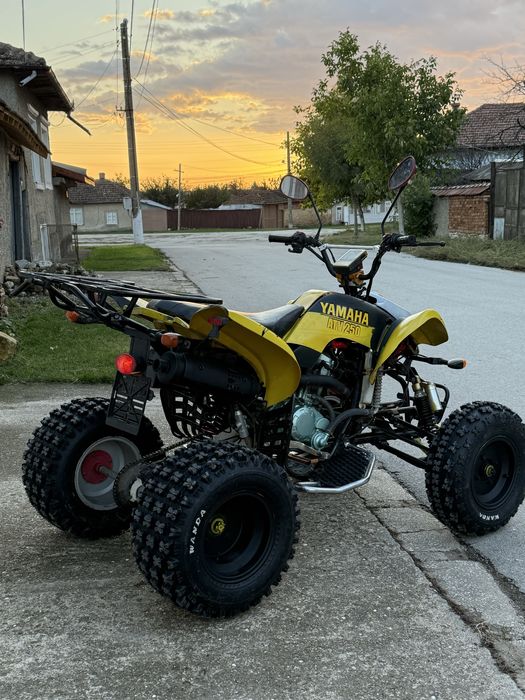 ATV BASHAN 250cc  с документи Атв 250