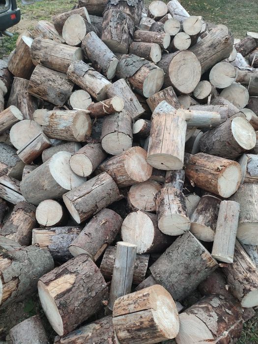 Lemne fag și carpen