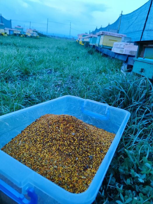 Produse bio din stupina