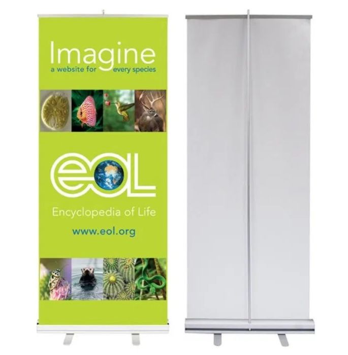 Roll-up 85 x 200 cm - la numai 360 lei! Husa transport INCLUSA!