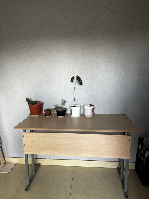 Учебный стол/ парта