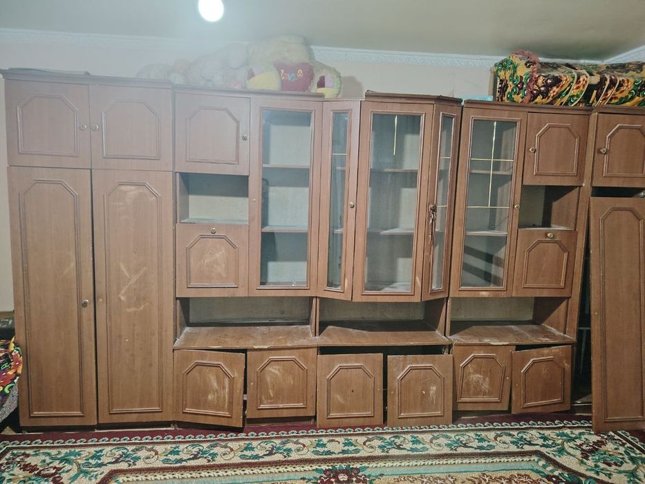 Баста шыккан стенка сатылады