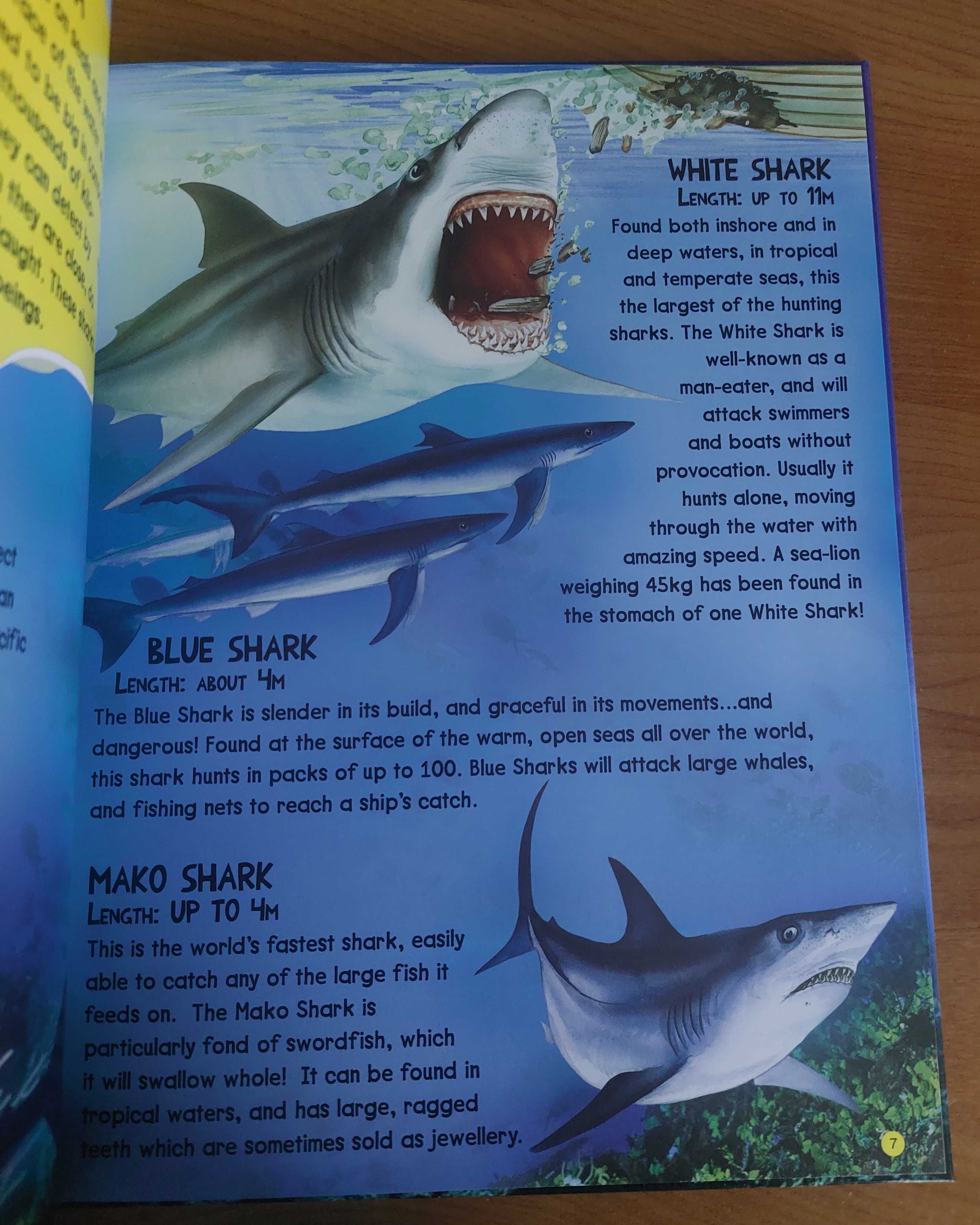 Carte pentru copii despre viețuitoarele marine "Shark discovery"