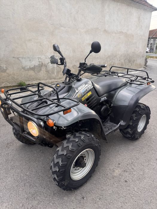 ATV Linhai Worker