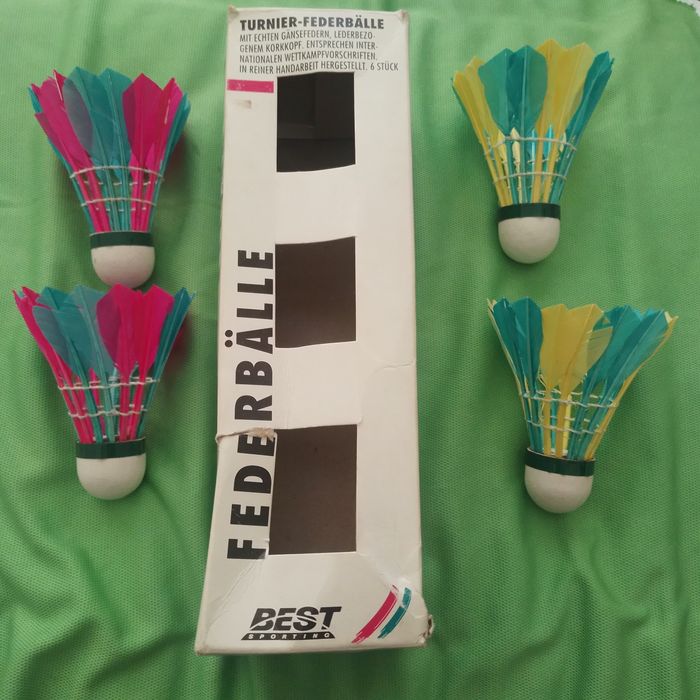 Fluturasi badminton Best