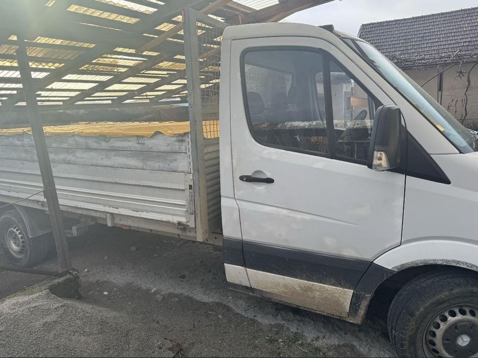 Autoutilitara Mercedes Benz 313