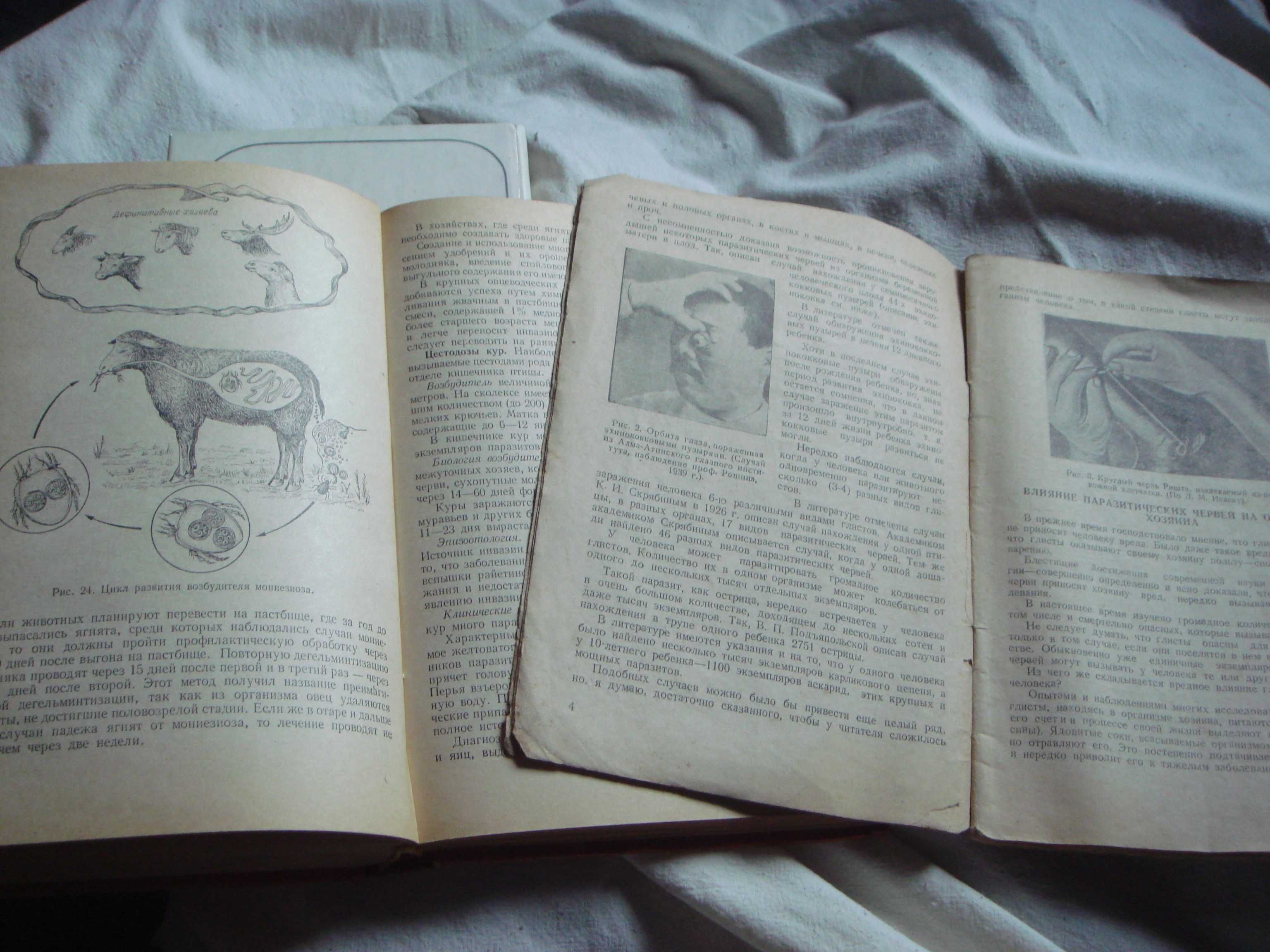 Книги Основа Ветеринарии 1970г.и 1953 И Глистные Болезни  1941г