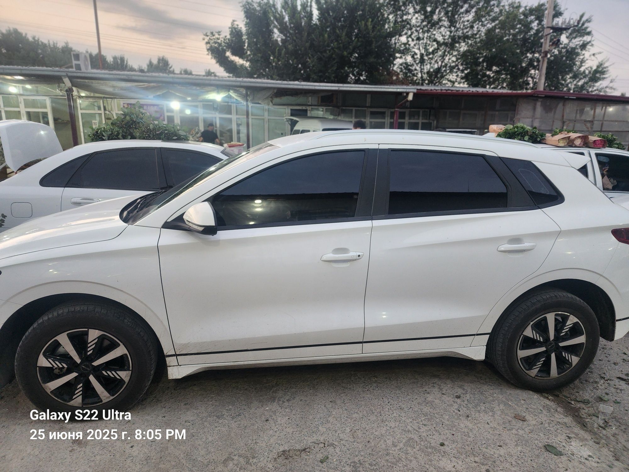 Byd e2  год выпуска 2024