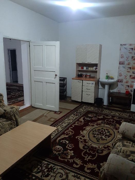 Ттз. Алиса.  Кафе