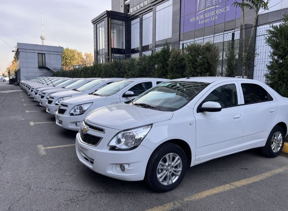 **Кобалт стайл мсм спорт 2026