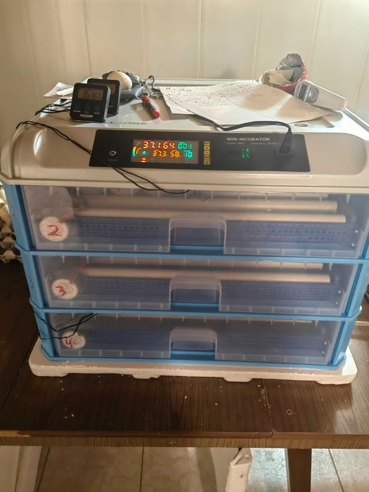 Инкобатор за 400 кокоши Яйца
