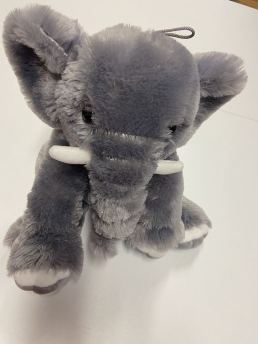 Elefant plus impecabil