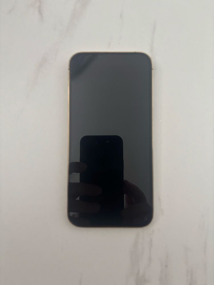 Iphone 13 Pro Max - 128 GB "GOLD"