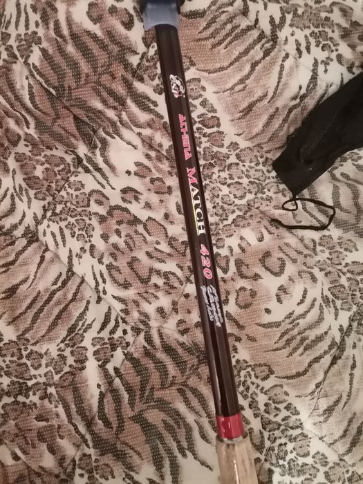 Риболовна въдица