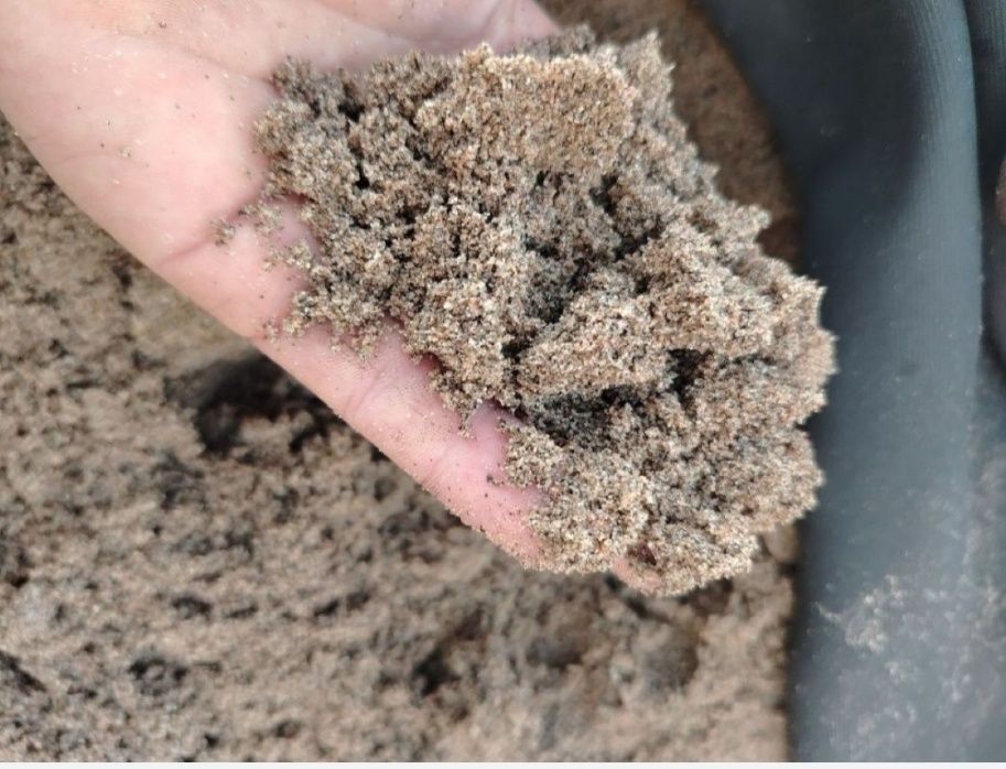 Chinoz qum, sheben, klnes optim karerdan шебен клнес чиноз кум