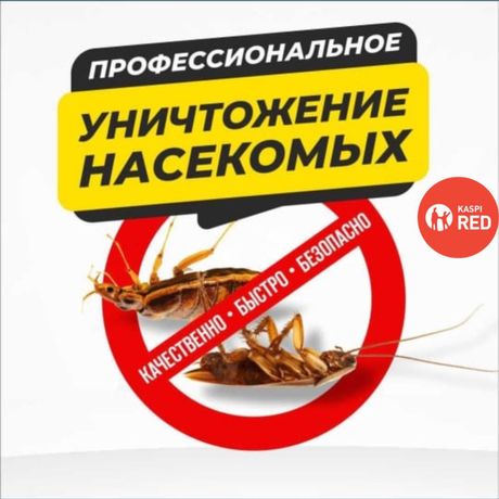 Уничтожение насекомых | Клопов | Тараканов