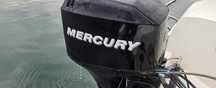 MERCURY Four Stroke 50 cp 4 T injectie / guvernare hidraulica