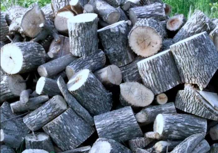 Продам дрова 13 тыс куб