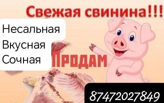 Продам мясо свинина