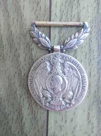Medalie Carol 1 Rege al Romaniei
