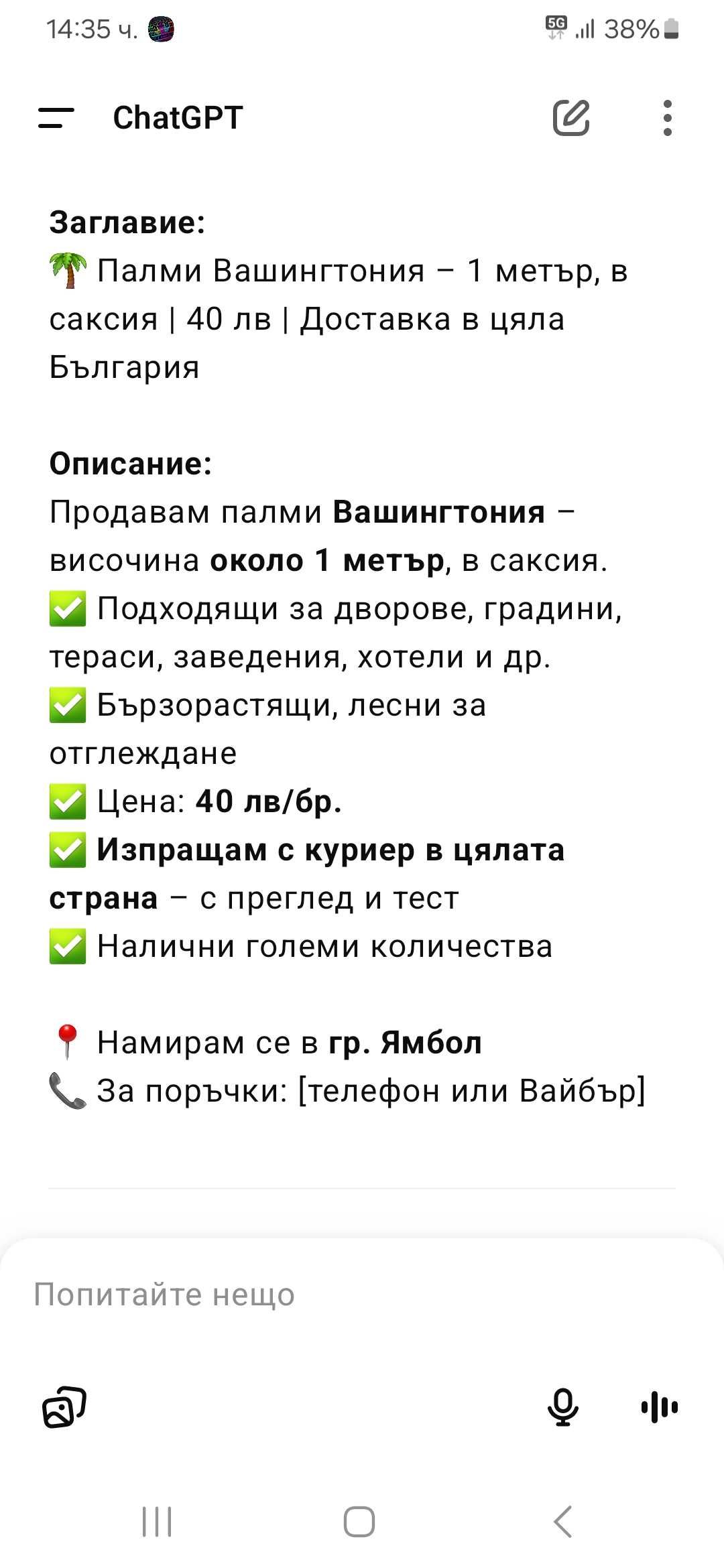 Палми вашингтония