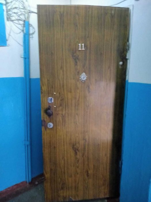 Дверь входная железная стандартная для квартиры