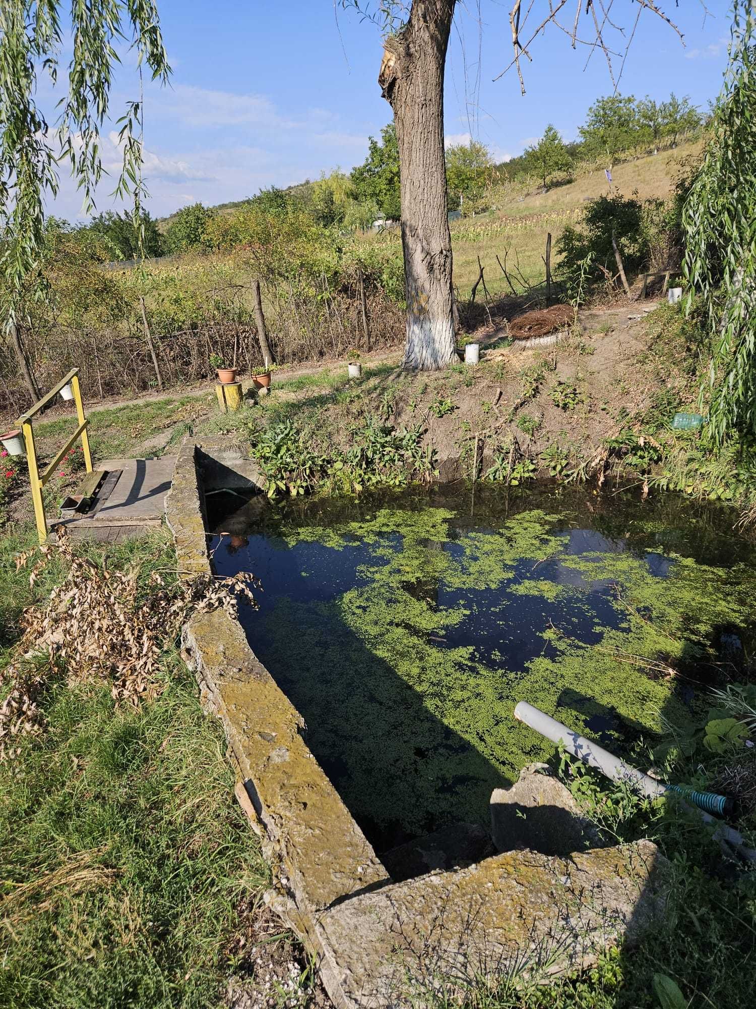 Teren Agricol Extravilan 2.83 ha Gura Bustii Vaslui