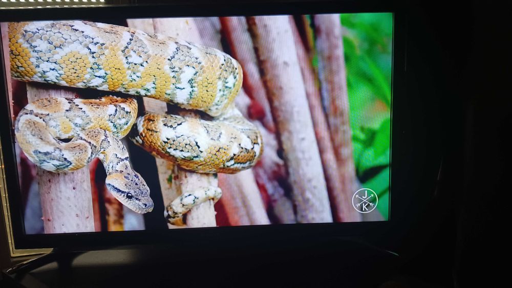 Телевизор SAMSUNG - 48" - HDMI - 3D