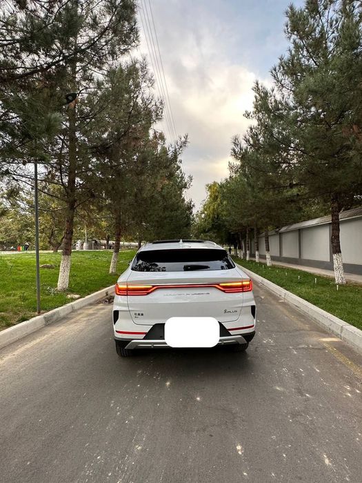 Byd song plus flagship