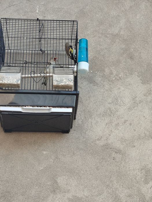 Sava sotiladi 2tasi ini bn