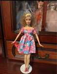 barbie print Ayden Magic of Pegasus