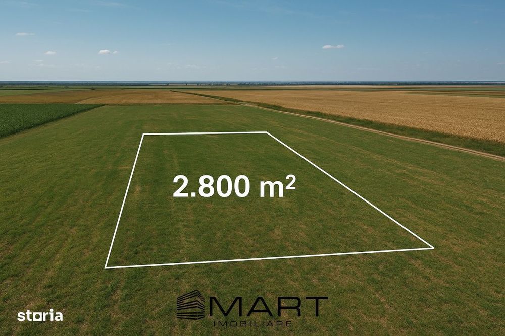 Teren extravilan 2800mp Daia Romana - Alba