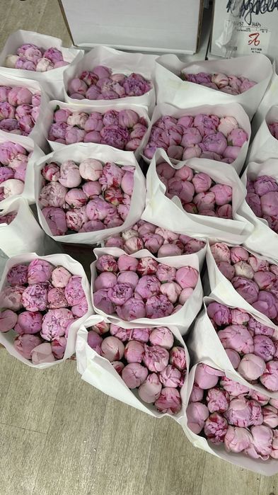 Пионы со склада, розы, гортензии, кустовые розы