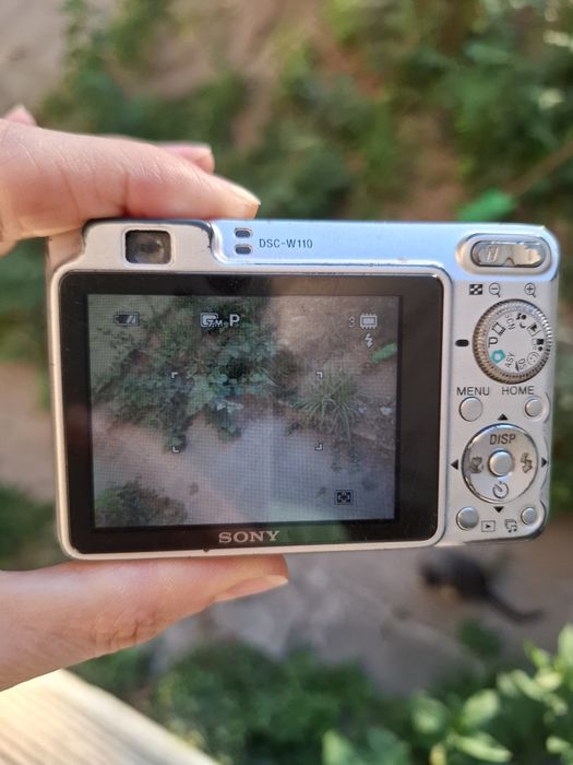 Компактен дигитален фотоапарат SONY Cybershot W110