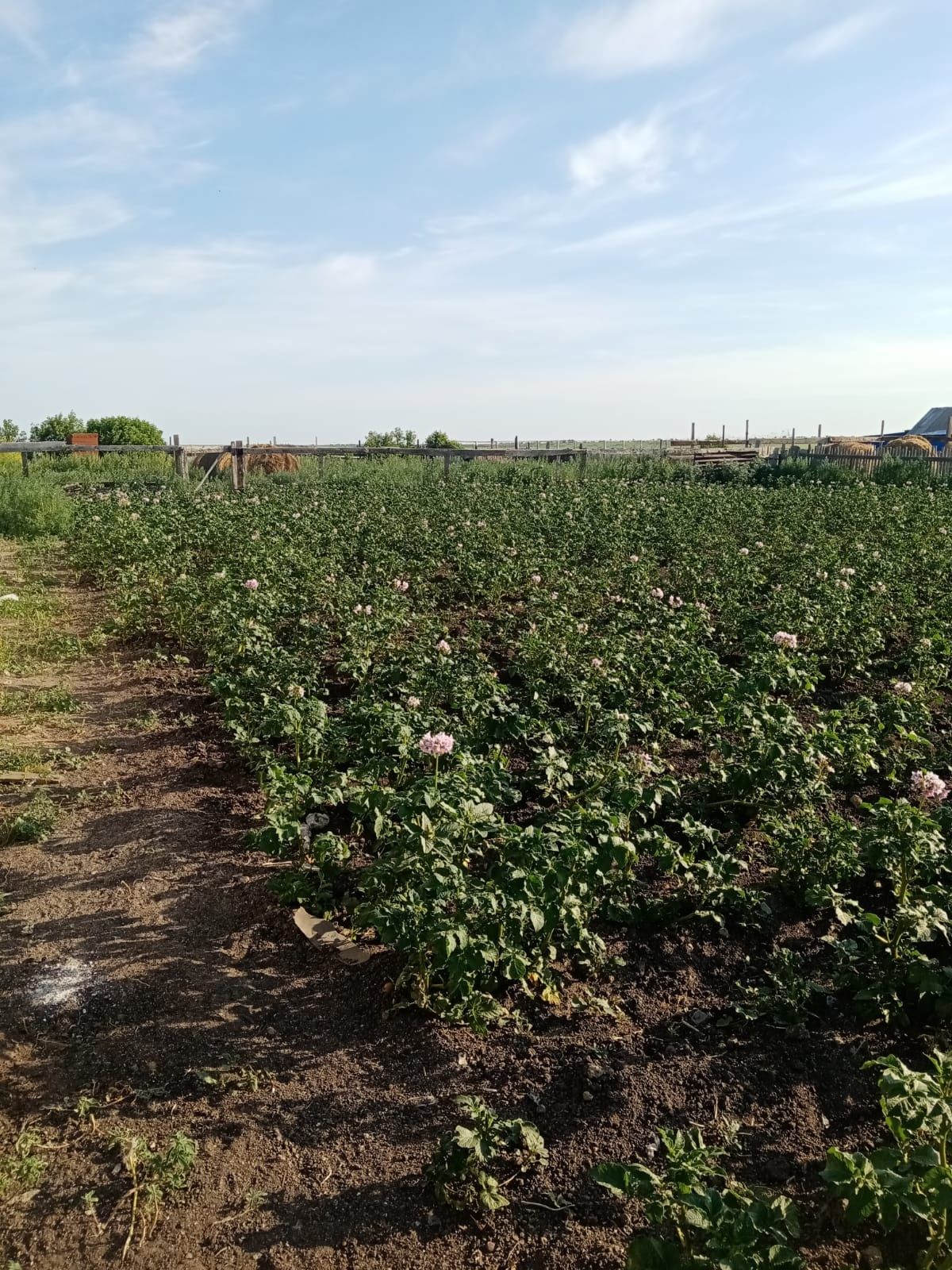 Продам  дом  в селе Октябрское