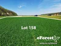 eForest 2 , direct din DN1A, loturi la liziera padurii