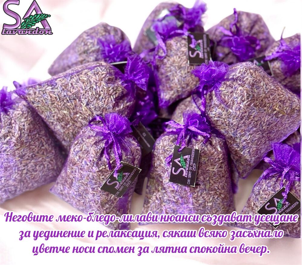 Лавандула Сух Цвят