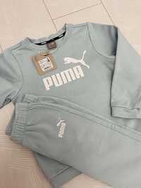 Анцузи Puma, размер 104