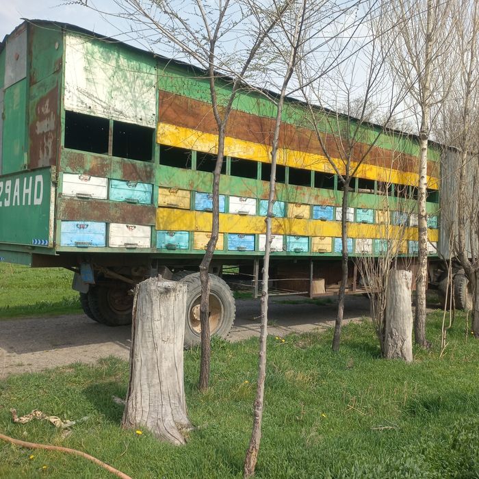 Прицеп для перевозки пчел