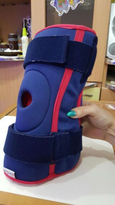 Genunchiera medicinala