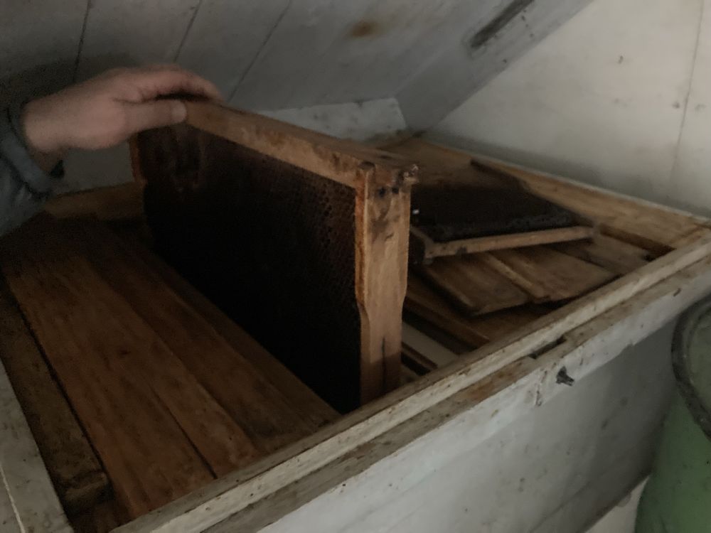 Vand lazi cu rame pt albine, centrifuga si multe  accesorii apicole
