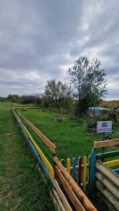 Casă de vânzare, teren 2450 mp Cefa Bihor