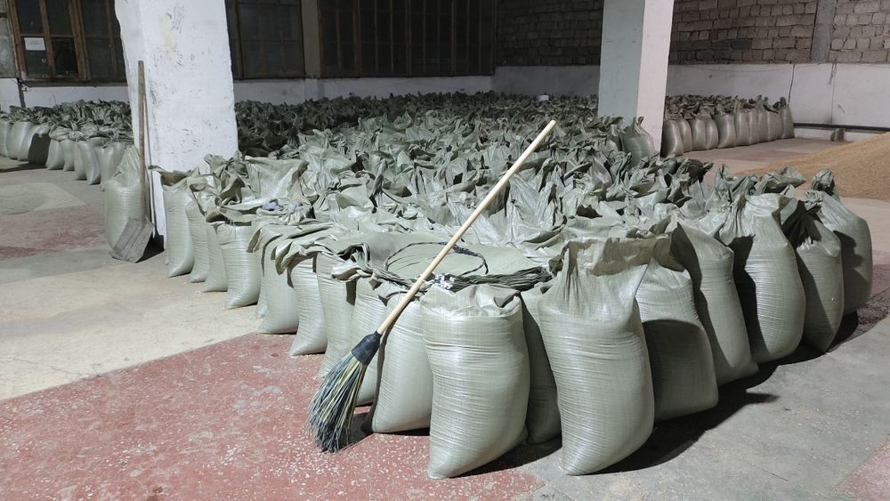 Пшеница в мешках