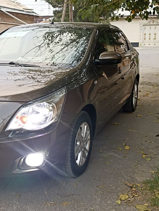 Кобальт Зевс радной краска