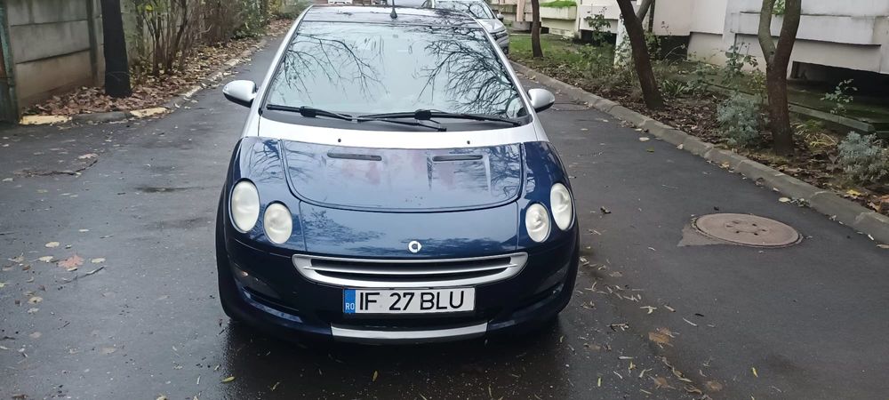 Pinguinul cel fasnet