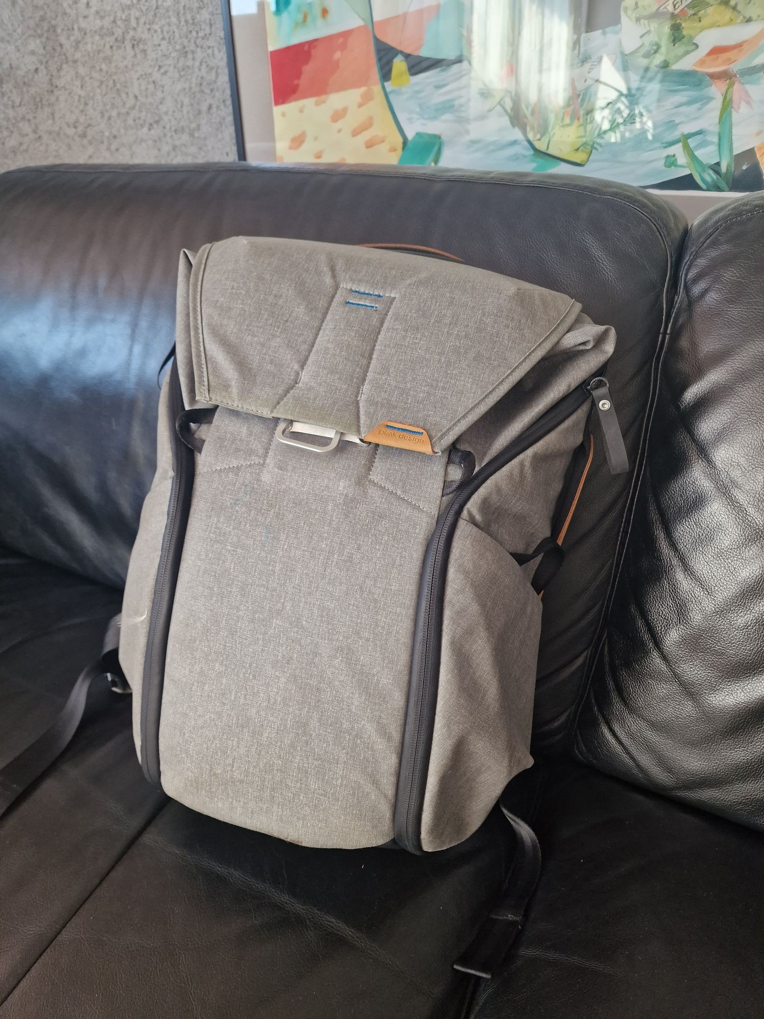 Rucsac foto Peak design everyday backpack 20L gray