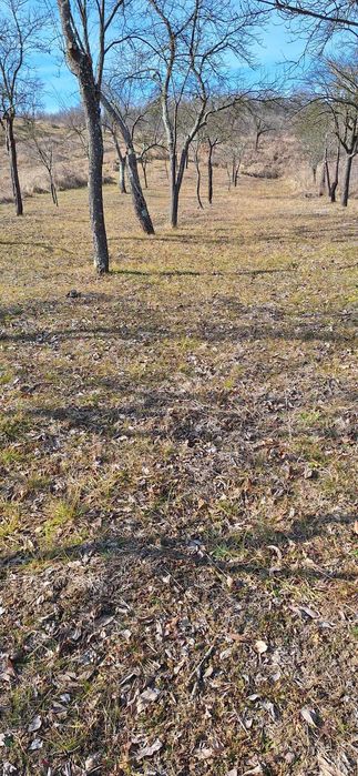 OCAZIE !  casa la tara + teren 8600 mp Fartatesti, Dozesti, jud Valcea