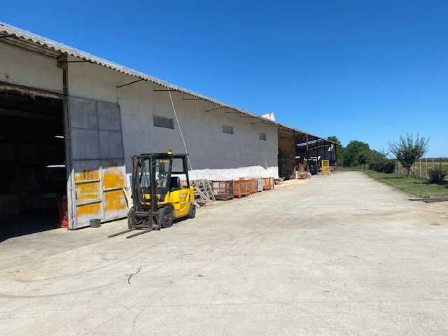 Hala de lucru in Macea