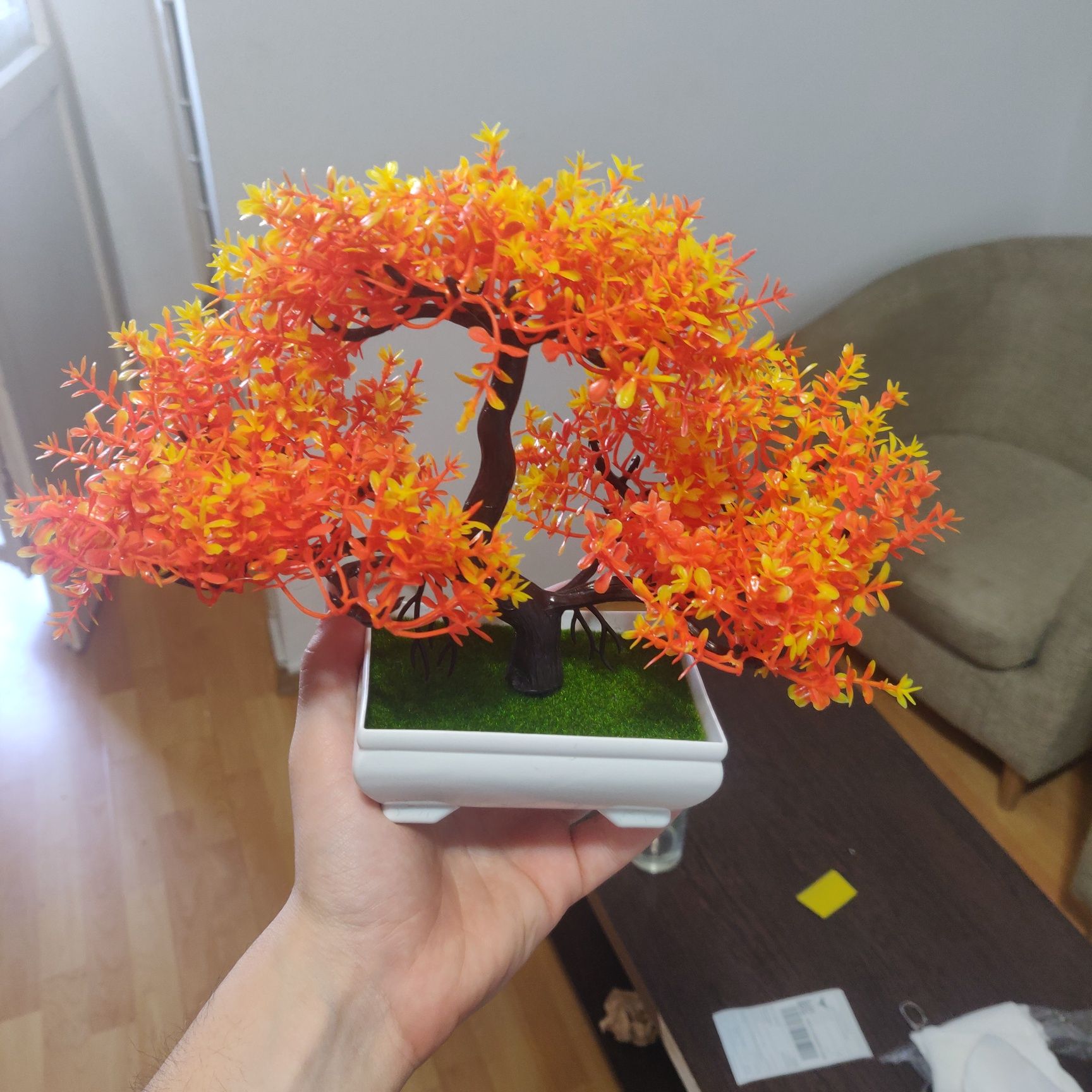 Planta decorativa bonsai