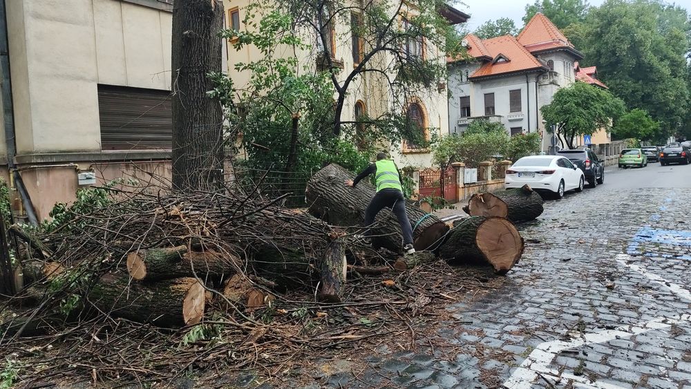 Debarasare oriunde in București toate sectoarele